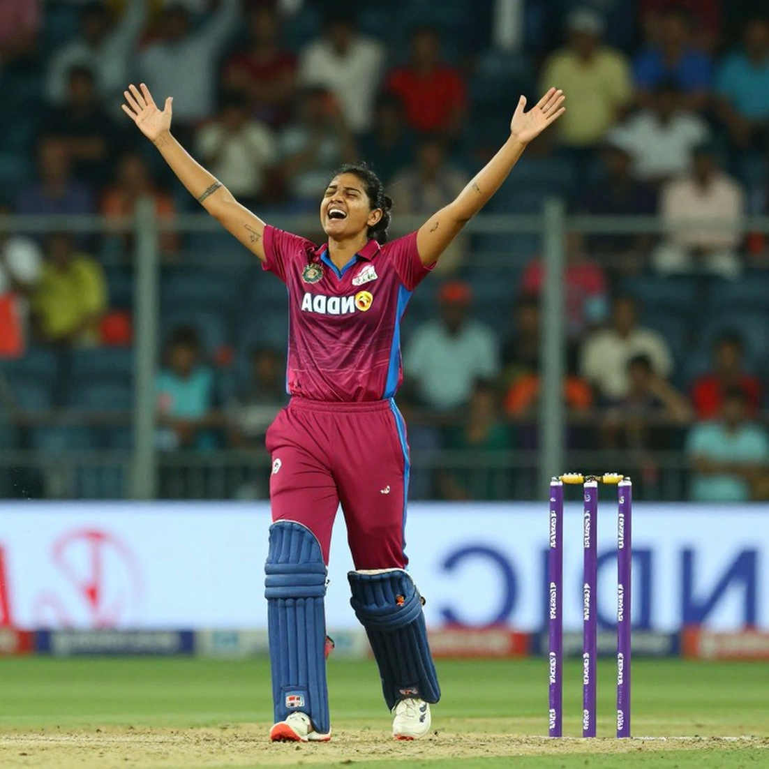 चौदह ओवर, चौंतीस ओवर और तेरह साल पुराना एक रिकॉर्ड: जॉर्ज पार्क में ऑस्ट्रेलिया का चयन-गणित